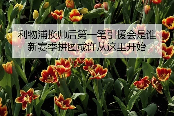 li-wu-pu-huan-shuai-hou-di-yi-bi-yin-yuan-hui-shi-shui-xin-sai-ji-pin-tu-huo-xu-cong-zhe-li-kai-shi-3-798.jpg